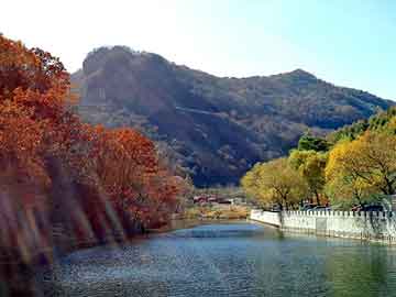 原油实时期货市场新动态与韩红丽最新消息一览