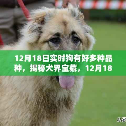 朴素无华 第2页