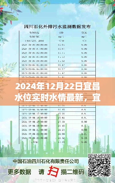 宜昌水位启示录,学习变化的力量,自信与成就感的源泉(实时更新至2024年12月22日)