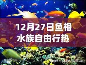 12月27日鱼相水族心灵之旅,深蓝海洋自由行攻略