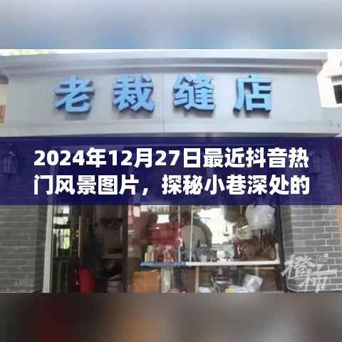 独出新裁 第3页