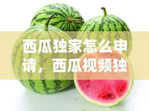 西瓜独家怎么申请,西瓜视频独家创作人怎么认证