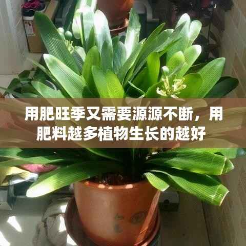 温文尔雅 第2页