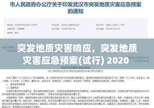 百年不遇 第2页