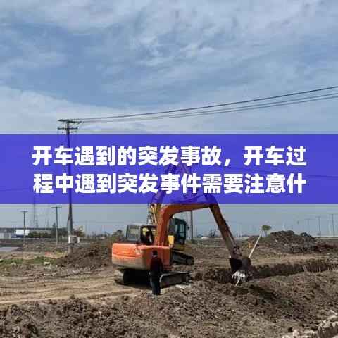 尊道贵德 第2页
