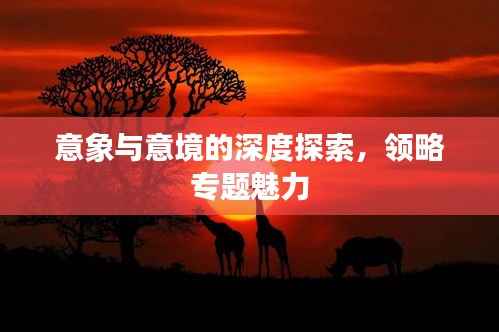 意象与意境的深度探索,领略专题魅力