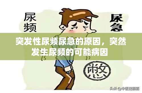 侃侃而谈 第2页