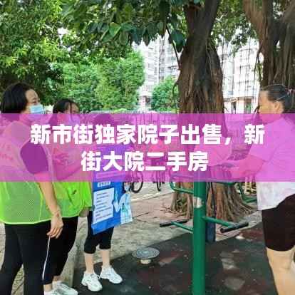 物以希为贵 第3页