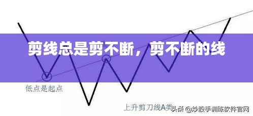指李推张 第2页