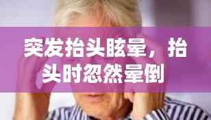 飞黄腾达 第2页