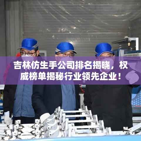 吉林仿生手公司排名揭晓，权威榜单揭秘行业领先企业！