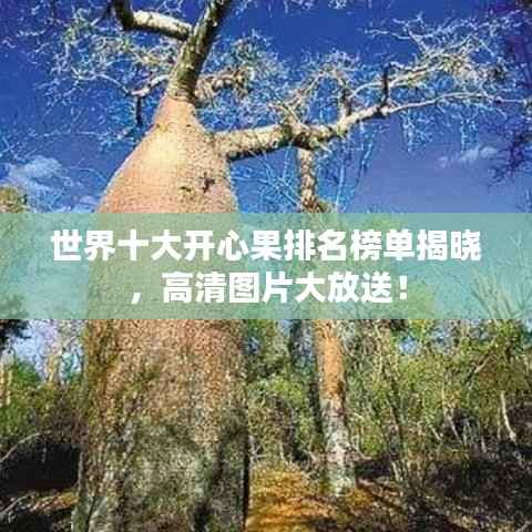 世界十大开心果排名榜单揭晓，高清图片大放送！
