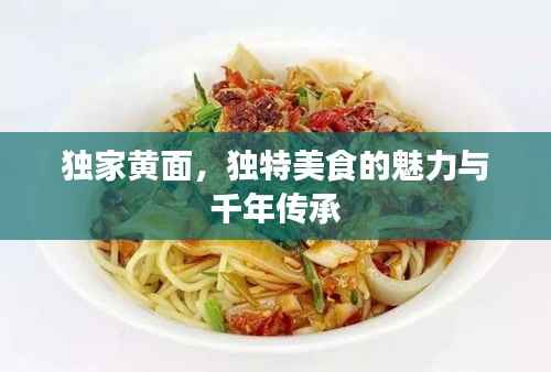 独家黄面，独特美食的魅力与千年传承