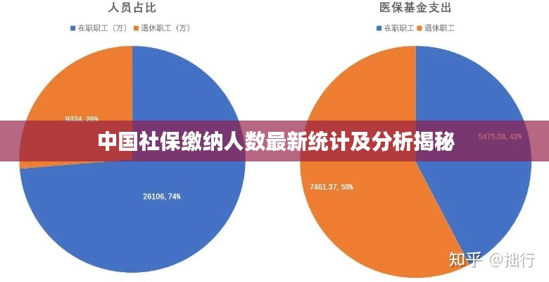 中国社保缴纳人数最新统计及分析揭秘