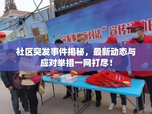 社区突发事件揭秘,最新动态与应对举措一网打尽!