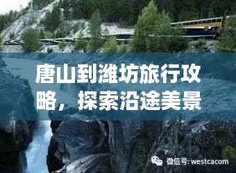 虚张声势 第2页