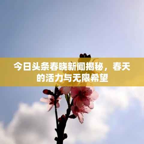 今日头条春晓新闻揭秘,春天的活力与无限希望
