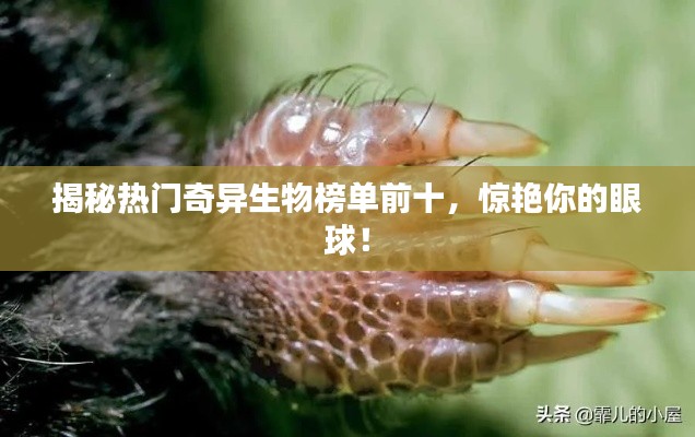 揭秘热门奇异生物榜单前十，惊艳你的眼球！