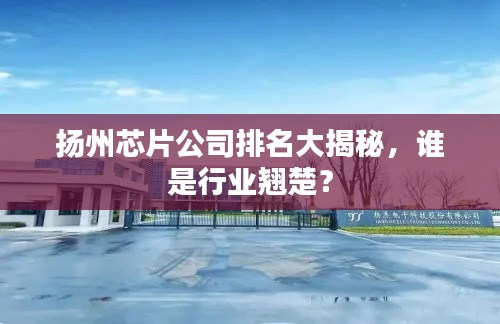 鸢飞鱼跃 第2页