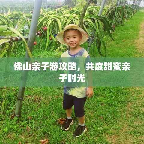 佛山亲子游攻略,共度甜蜜亲子时光