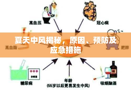 夏天中风揭秘,原因、预防及应急措施