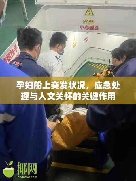 布被瓦器 第2页