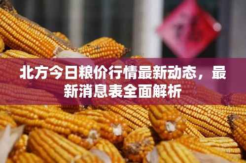 北方今日粮价行情最新动态,最新消息表全面解析