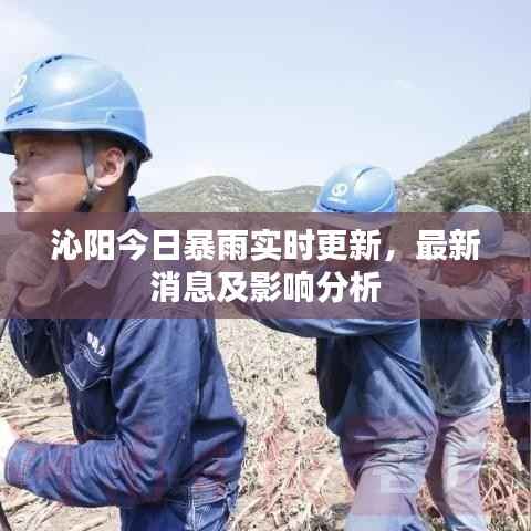 沁阳今日暴雨实时更新,最新消息及影响分析
