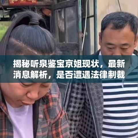 揭秘听泉鉴宝京姐现状,最新消息解析,是否遭遇法律制裁?