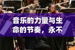 音乐的力量与生命的节奏,永不断的琴弦之魅力