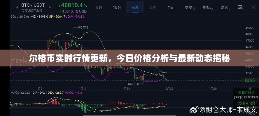 尔格币实时行情更新,今日价格分析与最新动态揭秘