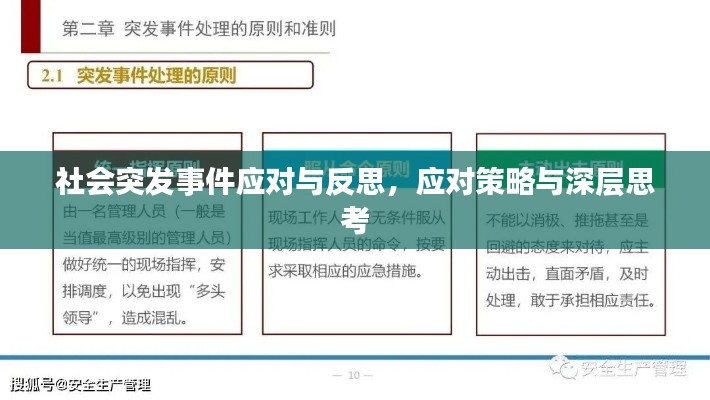 社会突发事件应对与反思,应对策略与深层思考